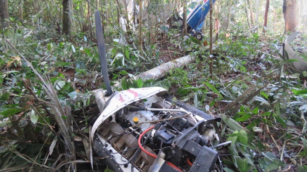 بر اساس این گزارش، برخورد با درختان باعث جدا شدن موتور و پروانه از ساختار هواپیما شد.